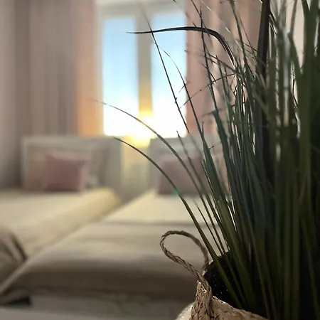 Apartament Przy Obserwatorium&Singielnia Olsztyn  Zewnętrze zdjęcie
